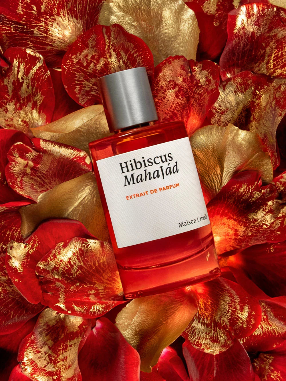 Hibiscus Mahajád Maison Crivelli