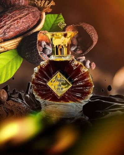 Ambre de Coco Areej le Doré